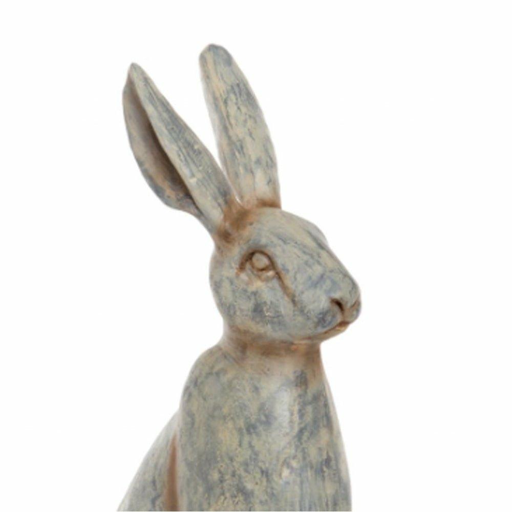 Grey Hare Sitting