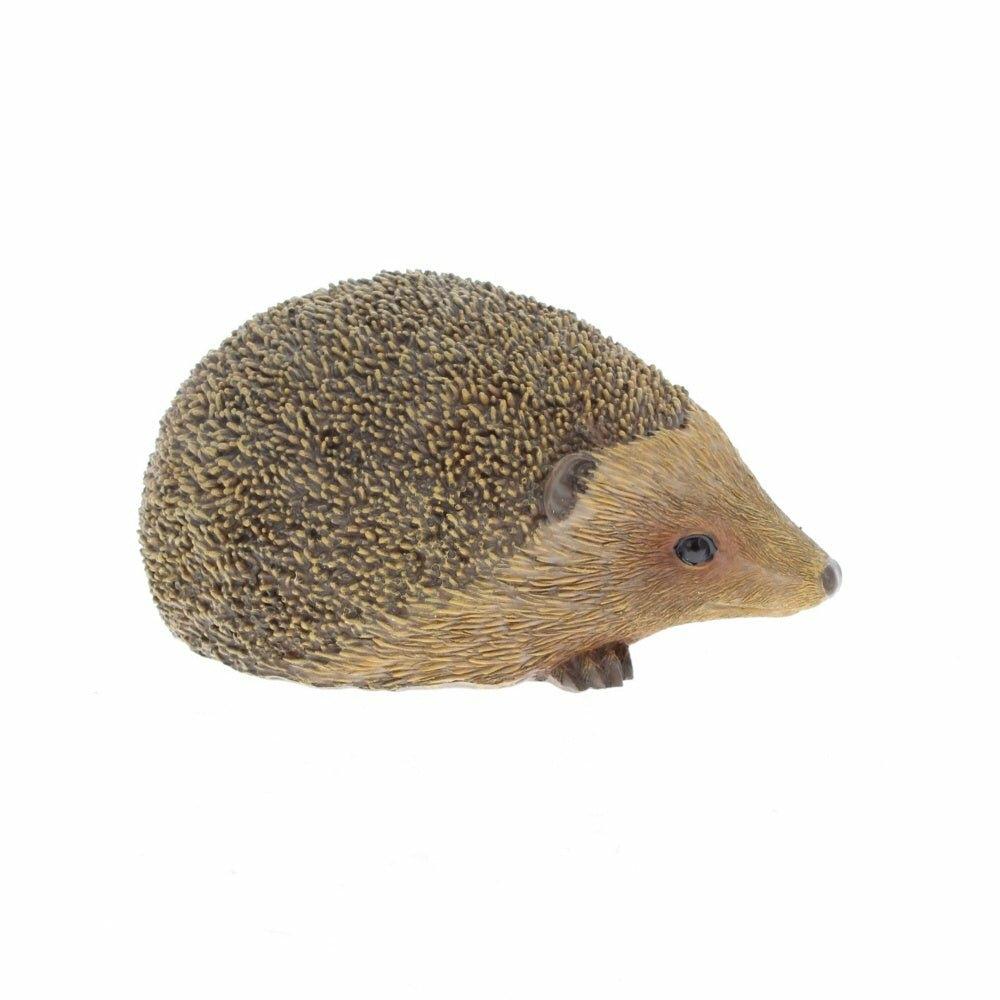 Hedgehog Large