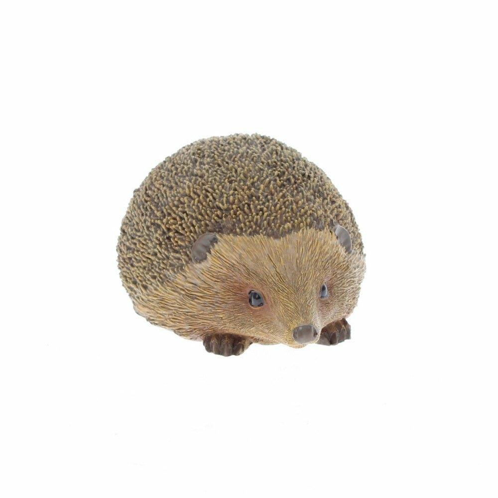 Hedgehog Large