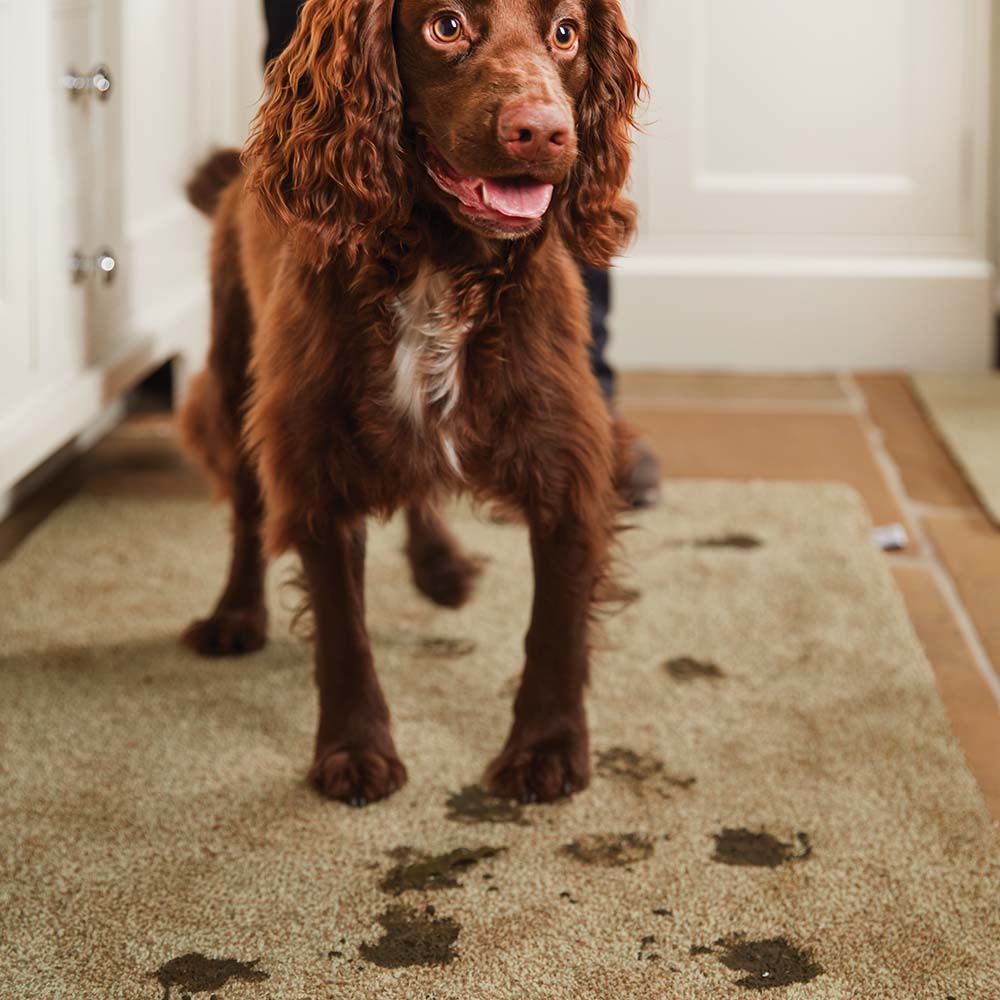 Hug Rug Doormat, Stone 50 x 75cm