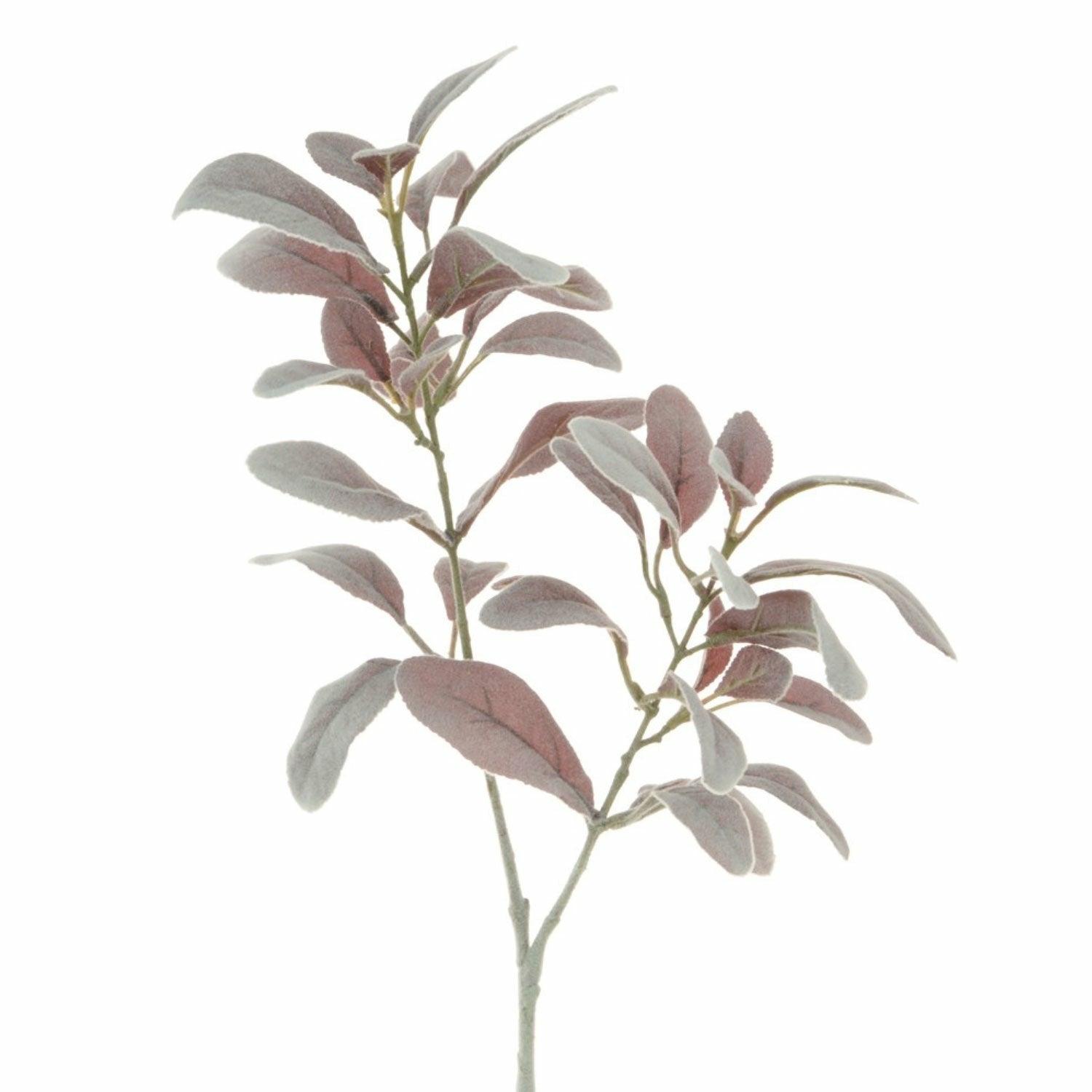 Lambs Ear Spray Dusty Pink