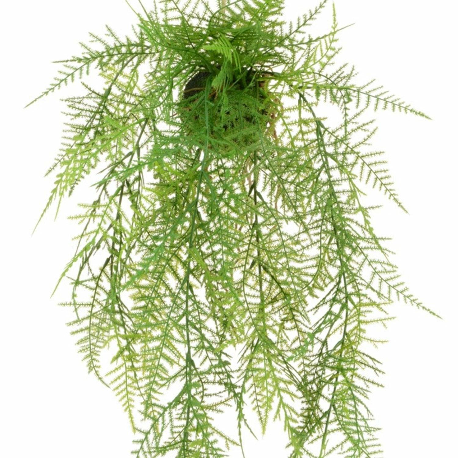 Leather Fern Hanger, 60cm