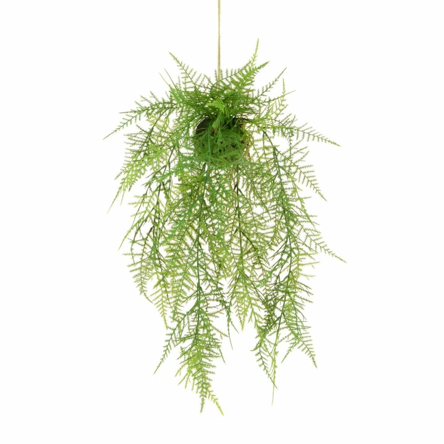 Leather Fern Hanger, 60cm
