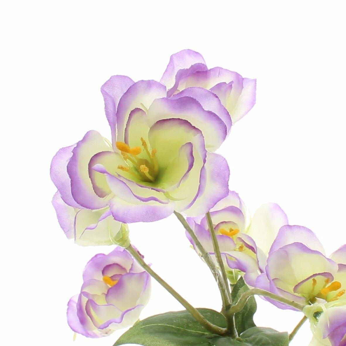 Lisianthus Spray 69cm