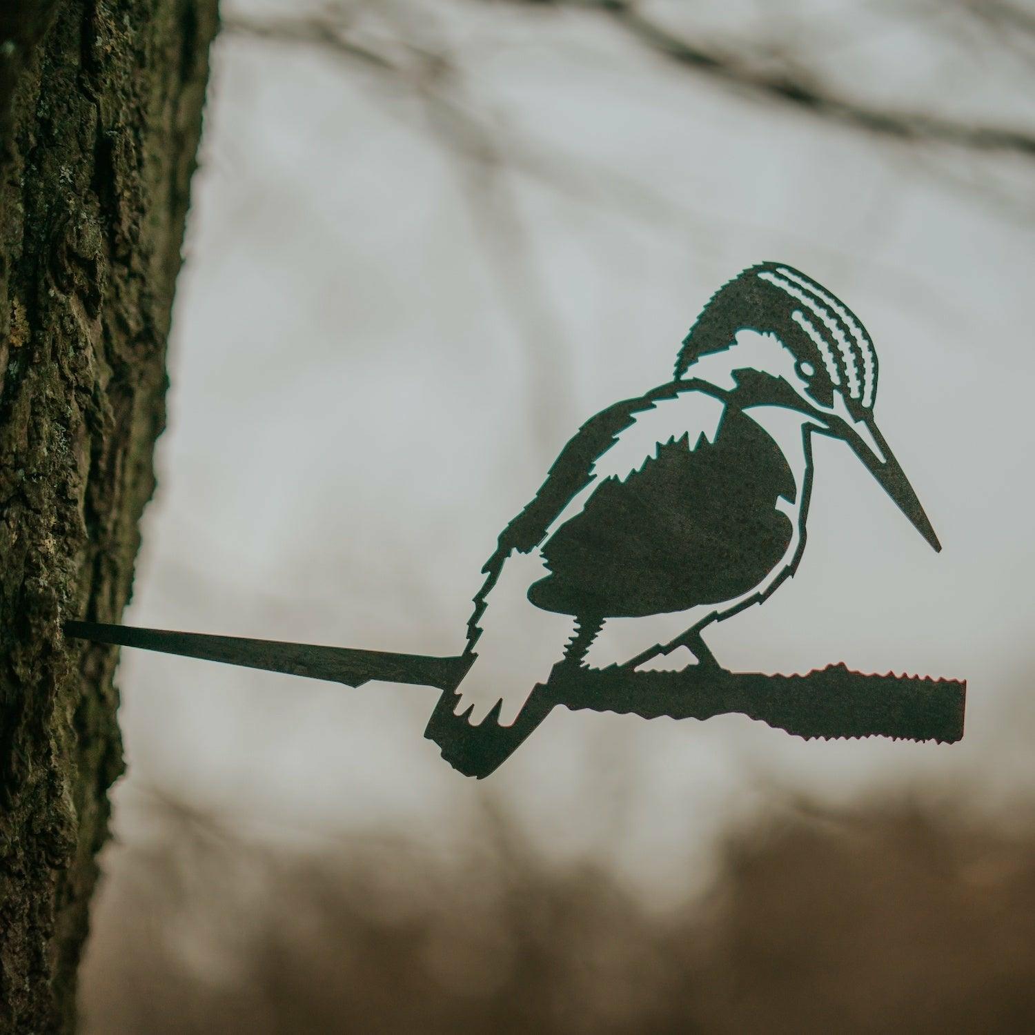 Metal Bird, Kingfisher