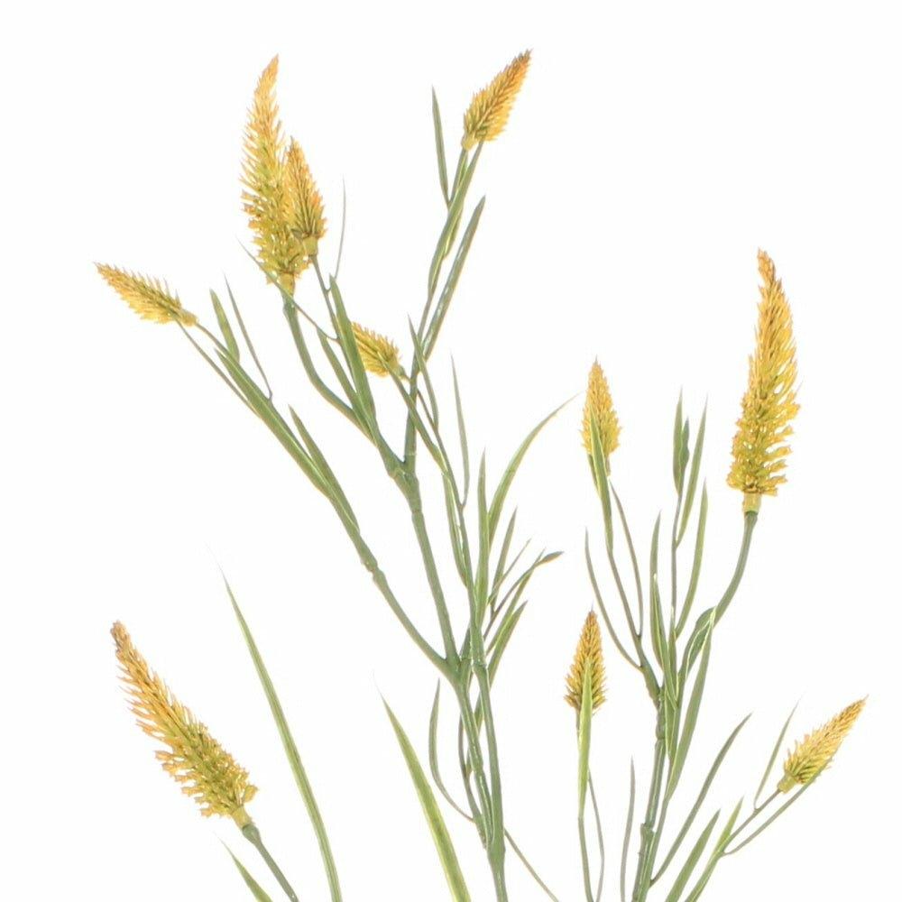 Narrowleaf Crimson Clover