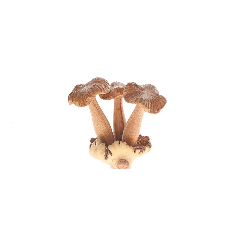 Parasite Wood with Three Flat Top Mushrooms