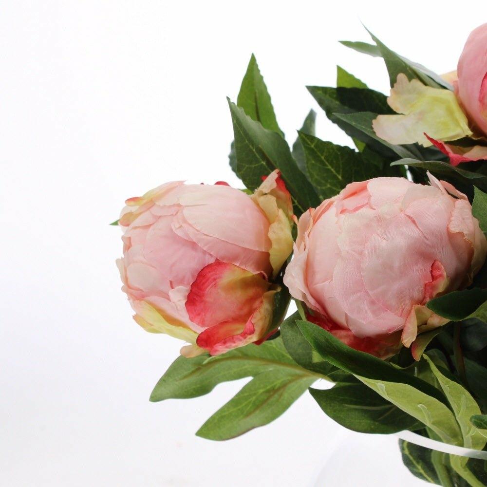 Pink Peonies in Globe Vase
