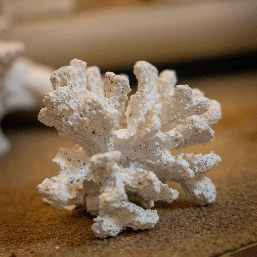 Resin Coral Decoration