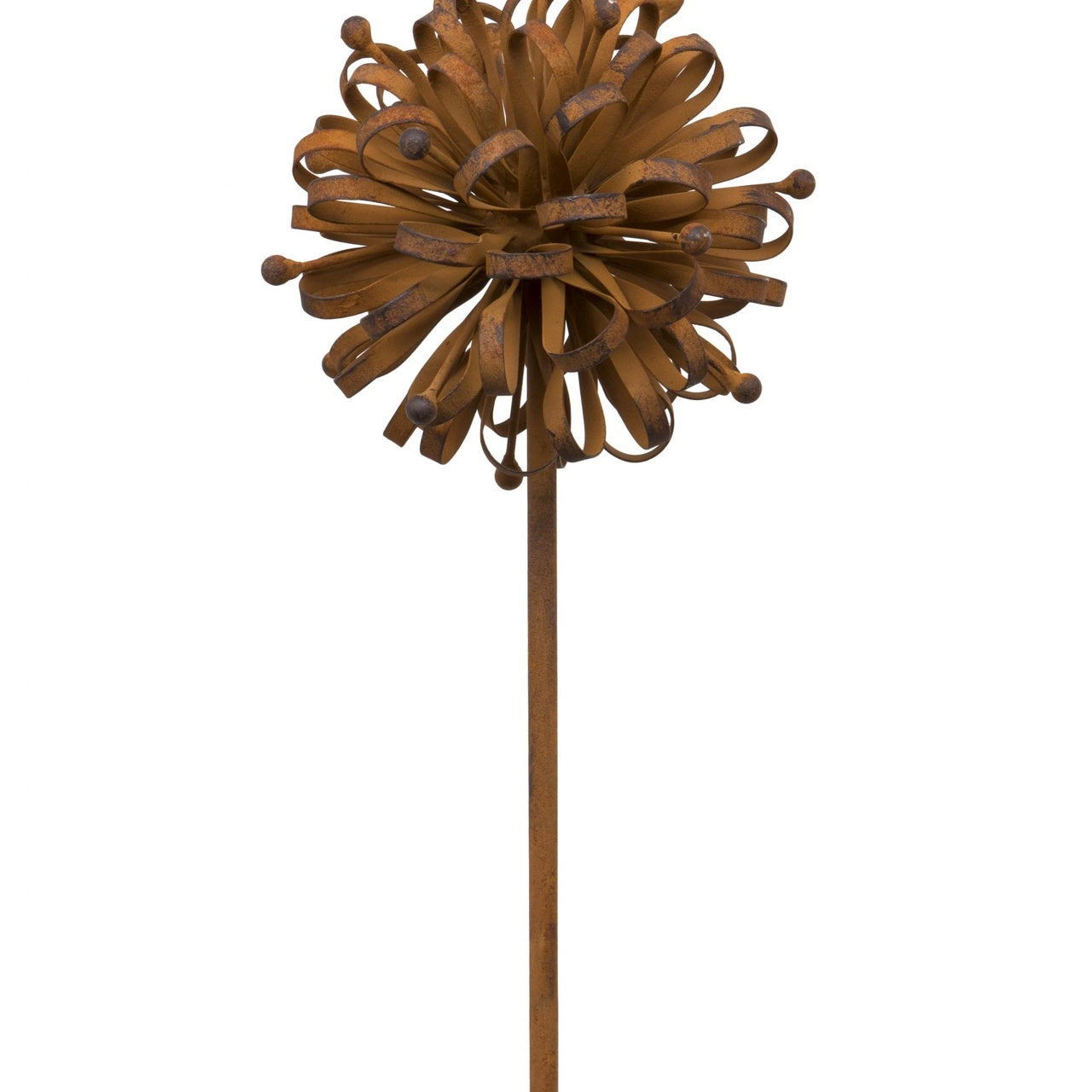 Rusty Dahlia, Large
