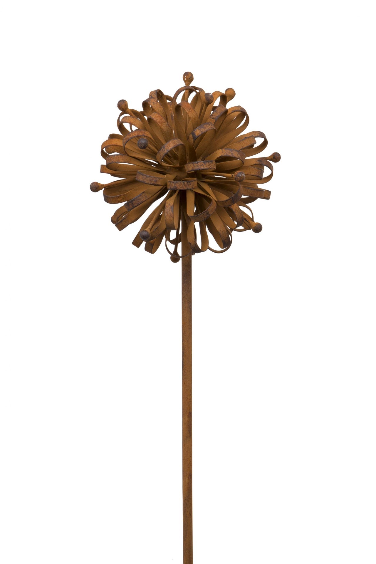 Rusty Dahlia, Large