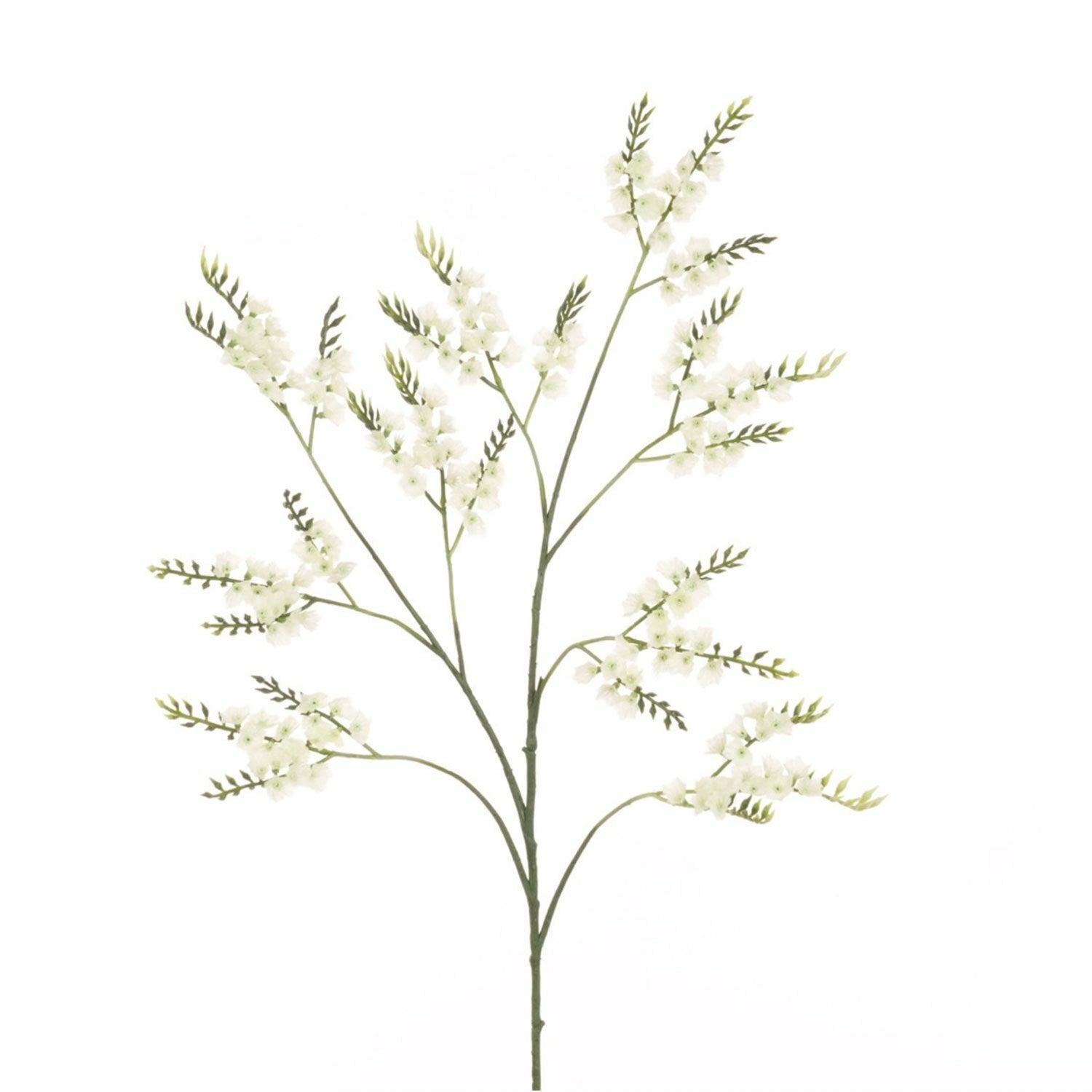 Sea Lavender Spray, Cream