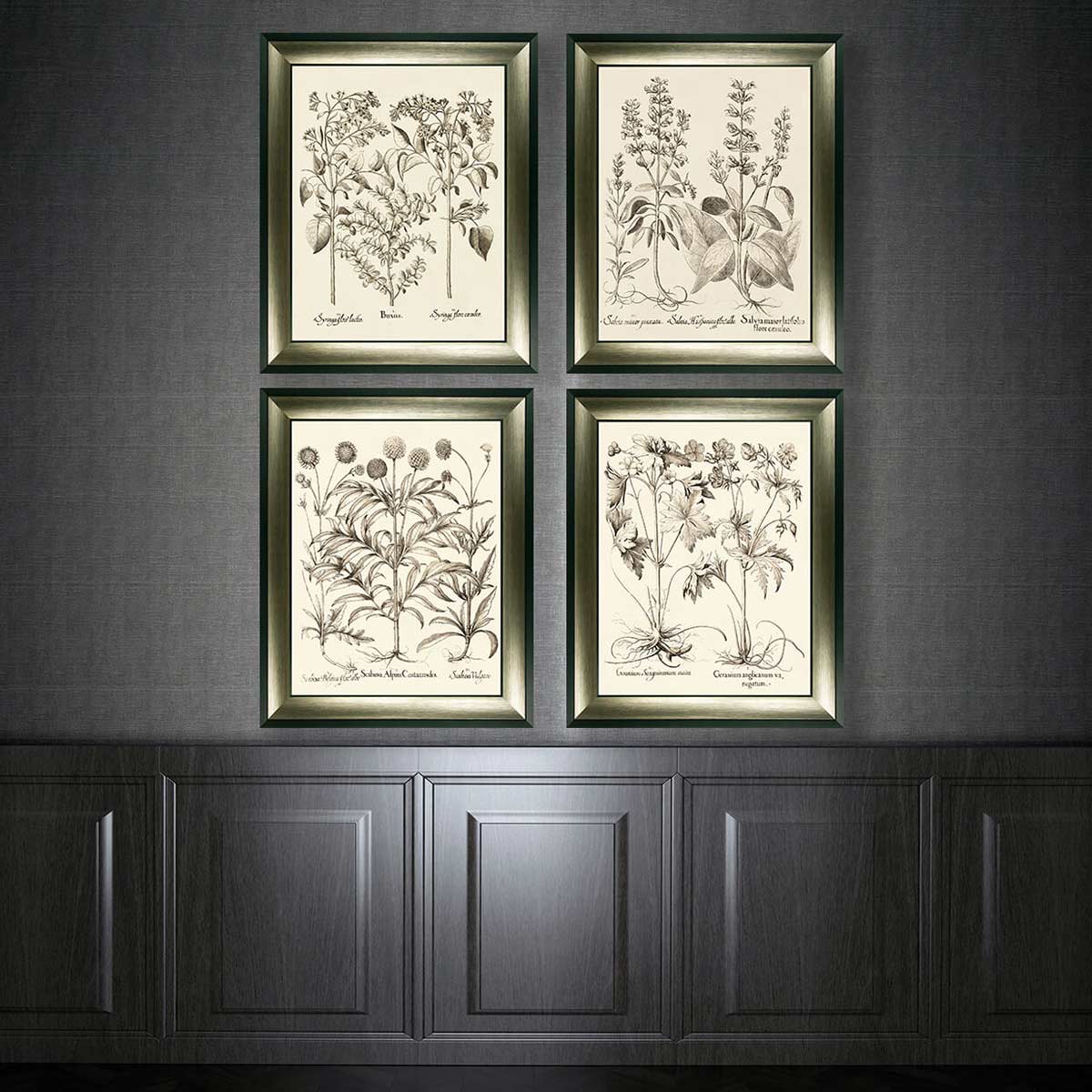 Sepia Botanial Salvia