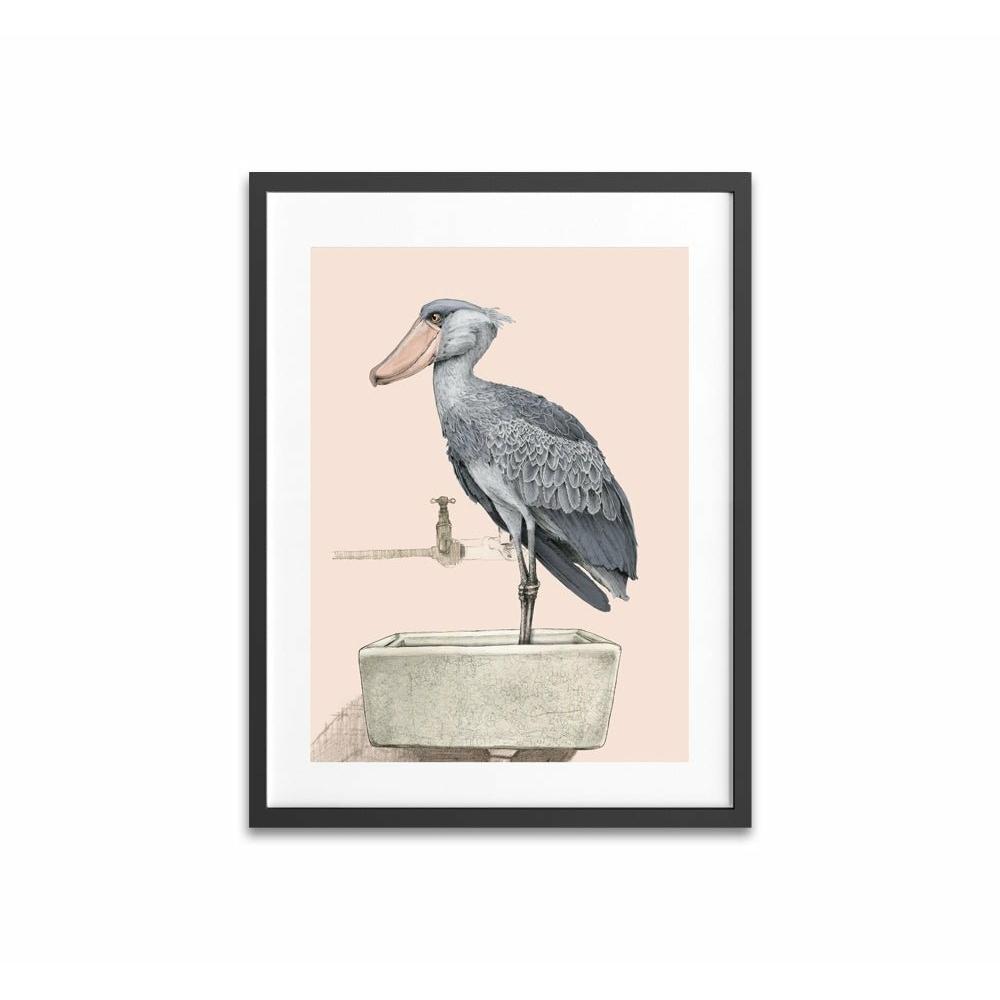 Shoebill Peach framed Print
