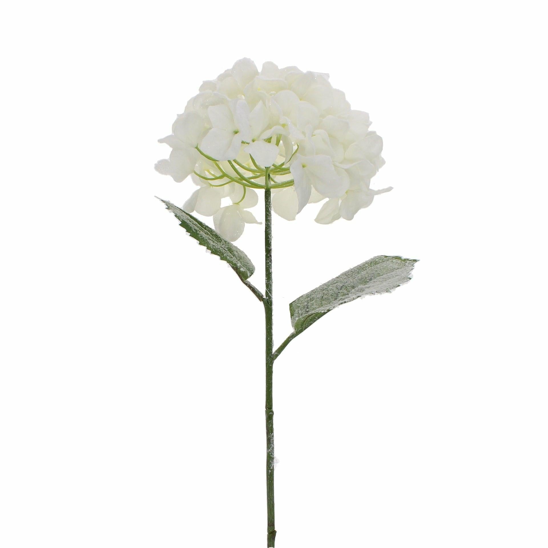 Snowstorm Hydrangea 69cm