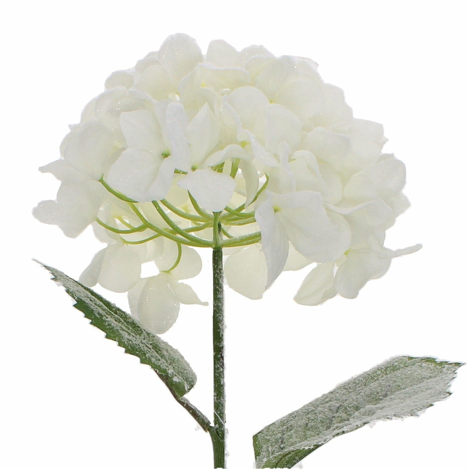 Snowstorm Hydrangea 69cm