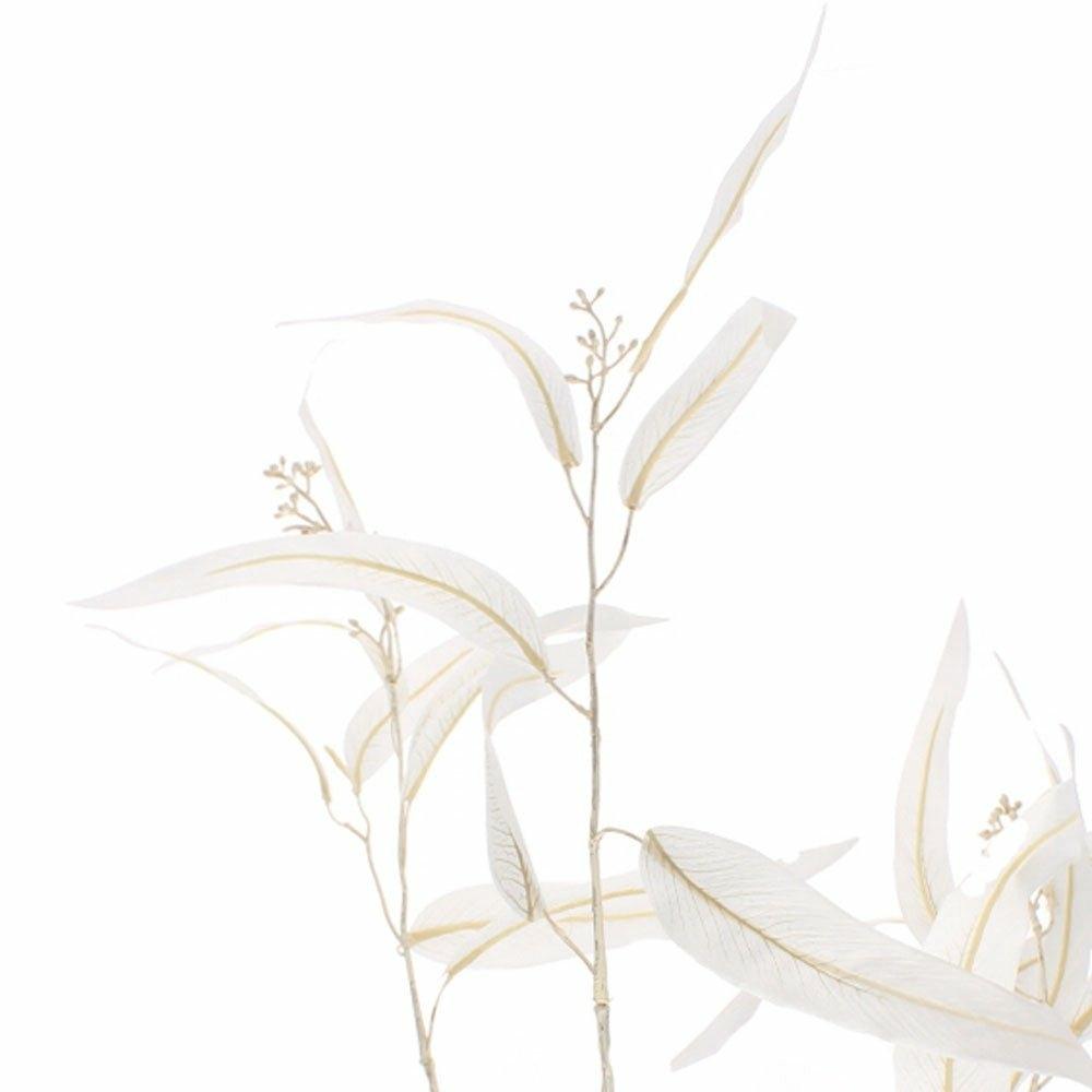 White Eucalyptus Spray