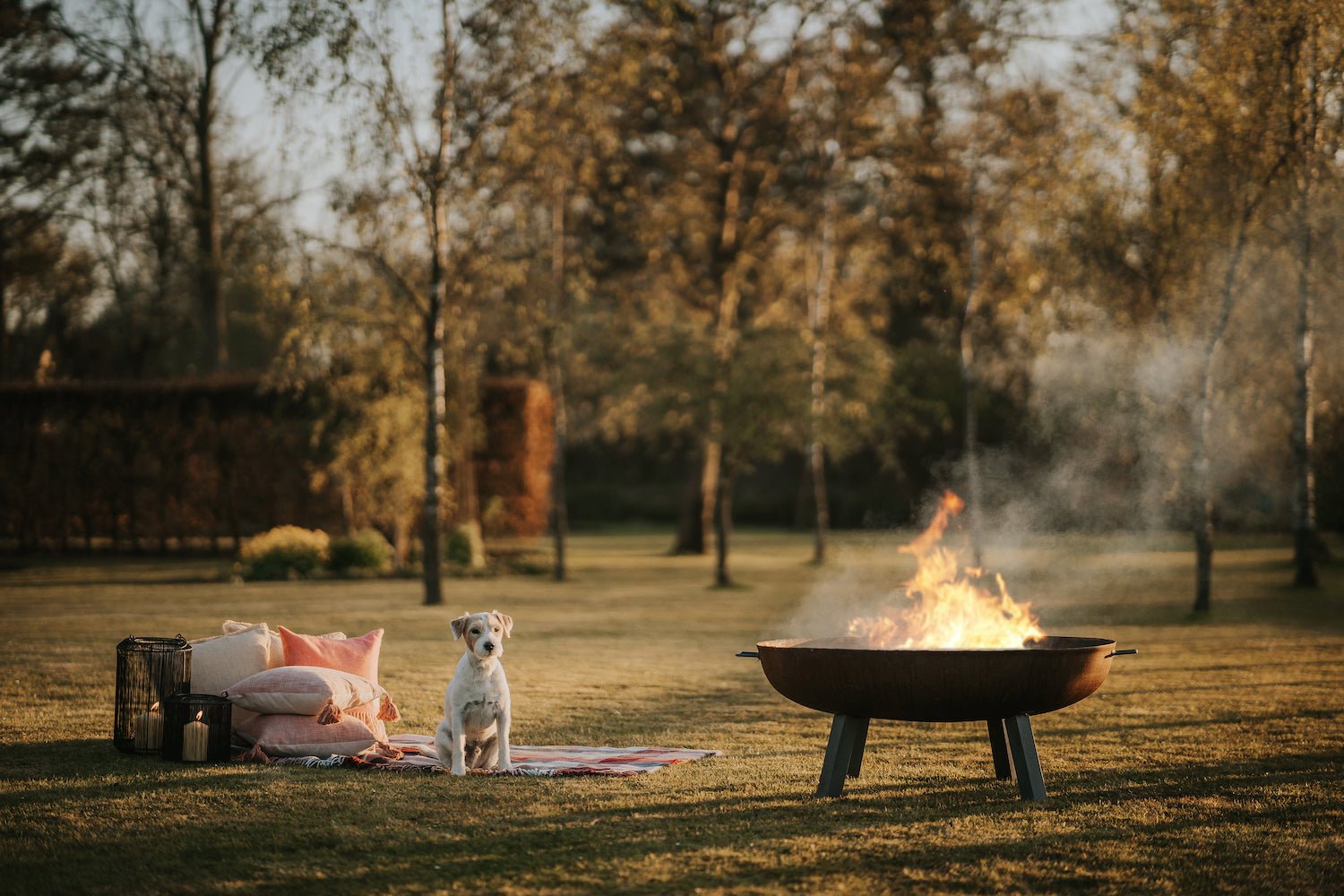 Autumn Outdoors: A Guide to Hosting Outdoors in Autumn - Angela Reed