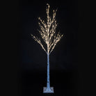 180cm Birch Tree with LED's