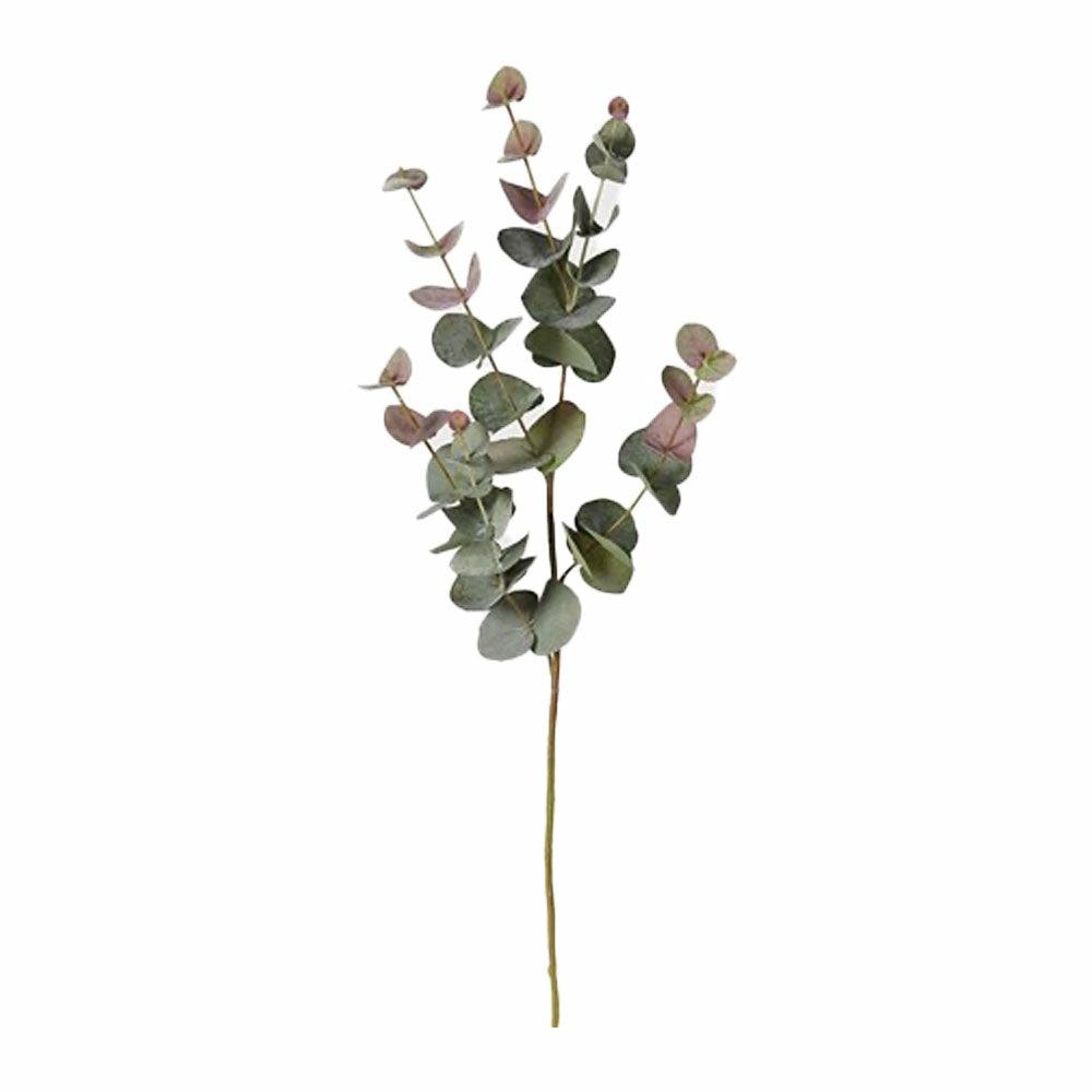 Blush Eucalyptus Spray