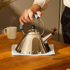 Alaska 9093 Stainless Steel Kettle in Light Blue White,Light Blue