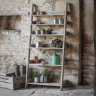 Aldsworth Ladder Shelf Large,Small