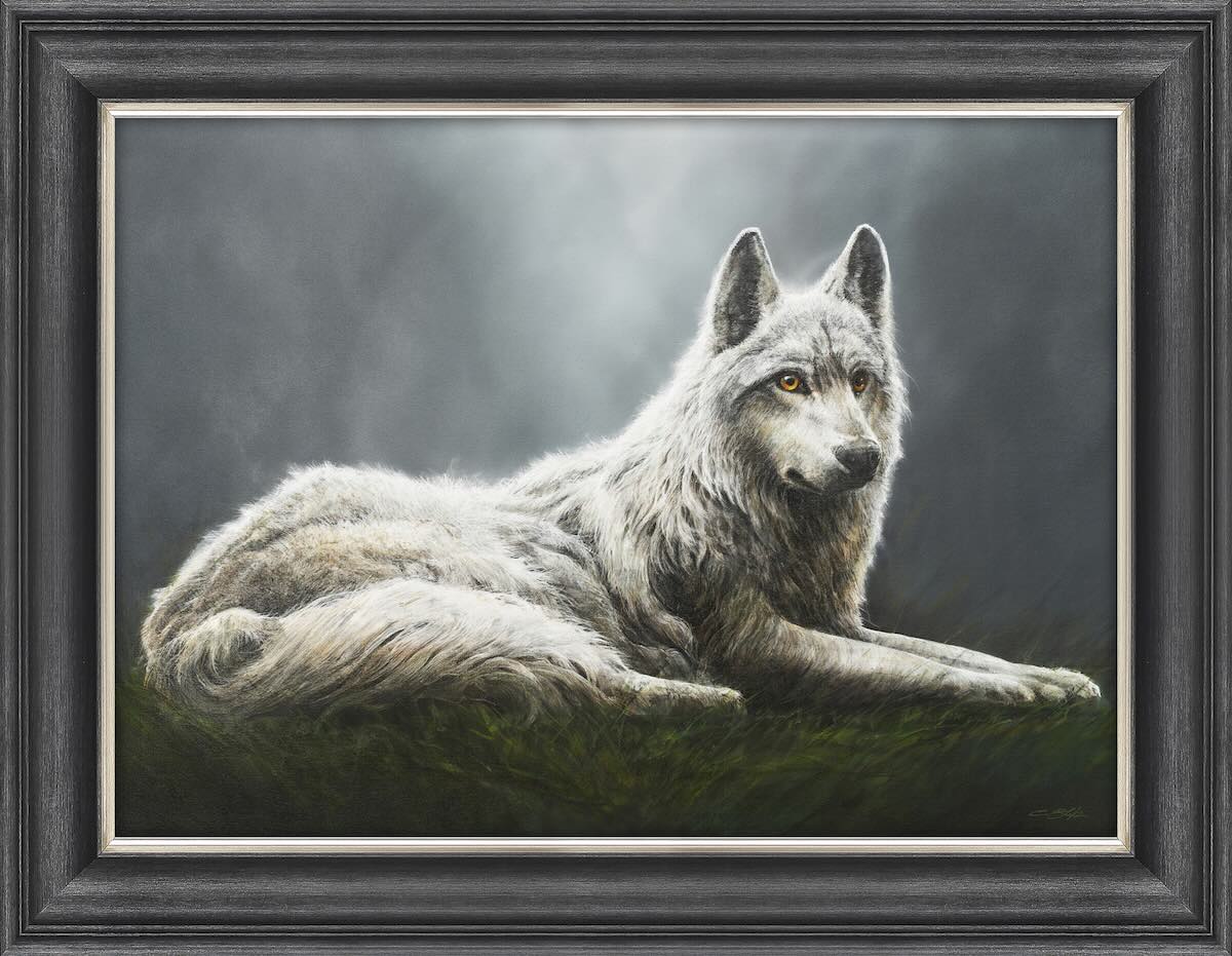 Alpha of the Forest - Angela Reed - 