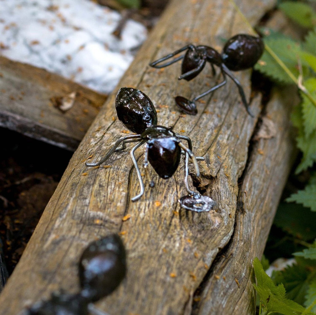 Ant Recycled Metal Sculpture - Angela Reed -