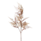 Auburn Bracken Spray