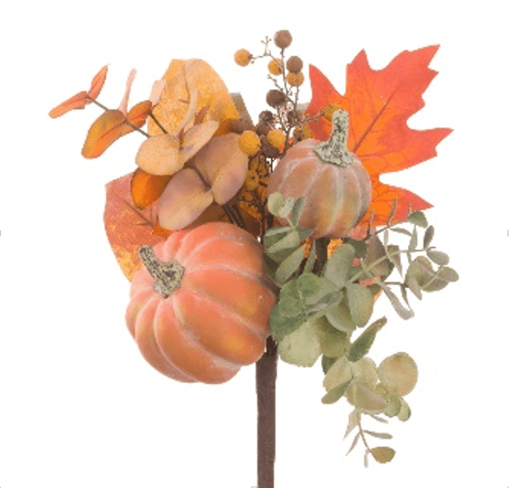 Autumn Pumpkin Stem