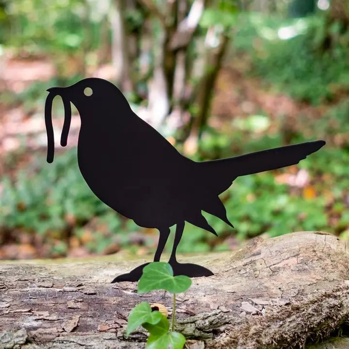 Blackbird and Worm Silhouette - Angela Reed - 