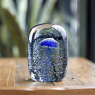 Blue Jellyfish in Ice Paperweight - Angela Reed - 