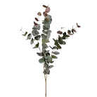 Blush Eucalyptus Spray, Large