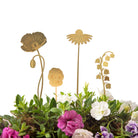 Brass Pot Stems, English Blooms