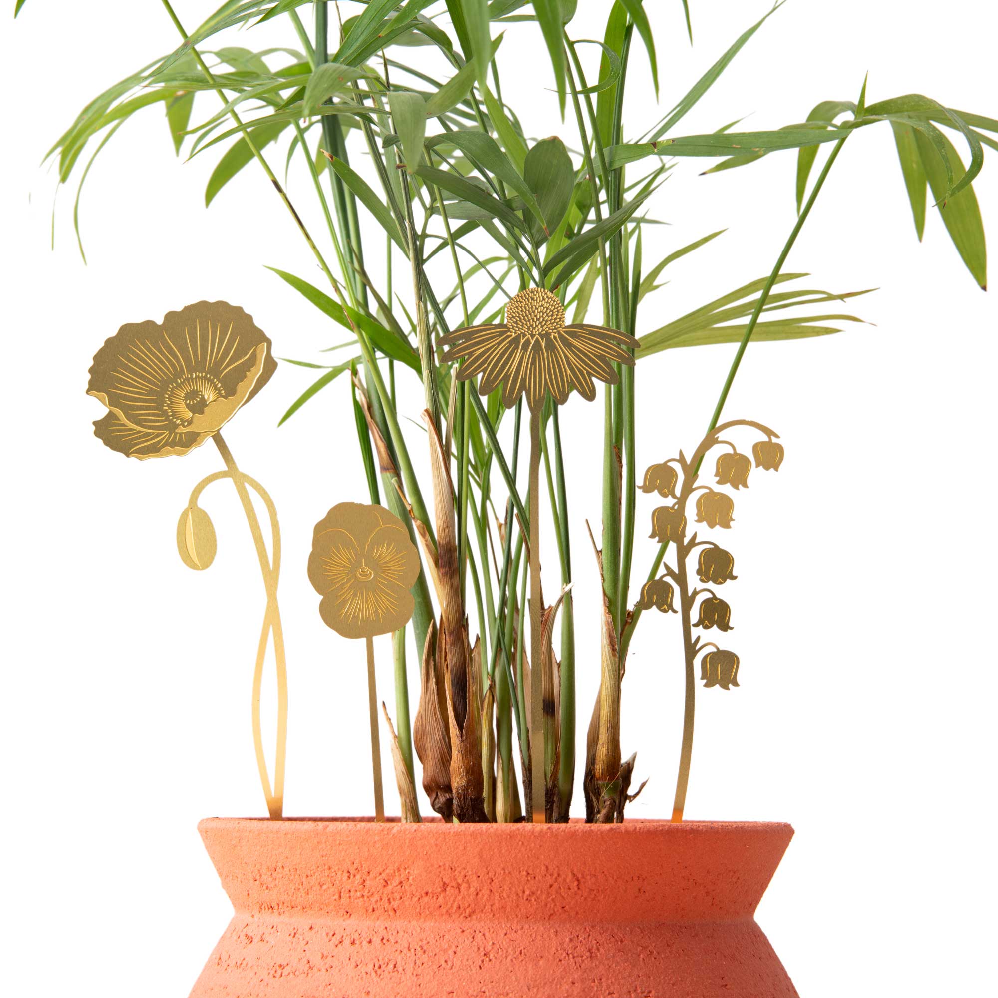 Brass Pot Stems, English Blooms