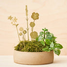 Brass Pot Stems, Herbs