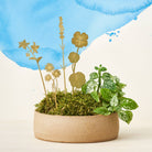 Brass Pot Stems, Herbs