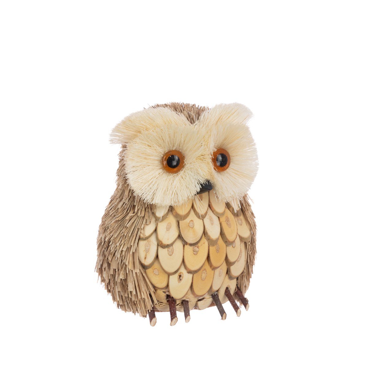 Bristle Owl, Small