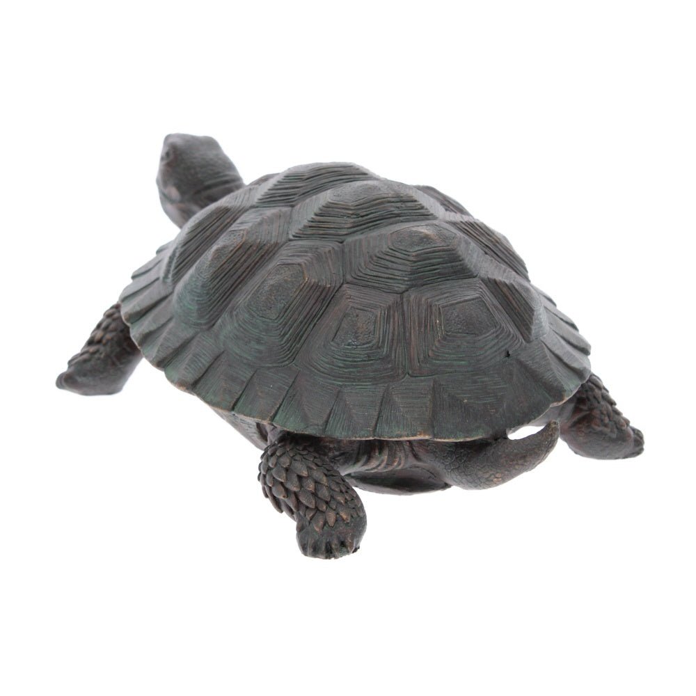 Bronze effect Tortoise, looking straight - Angela Reed -