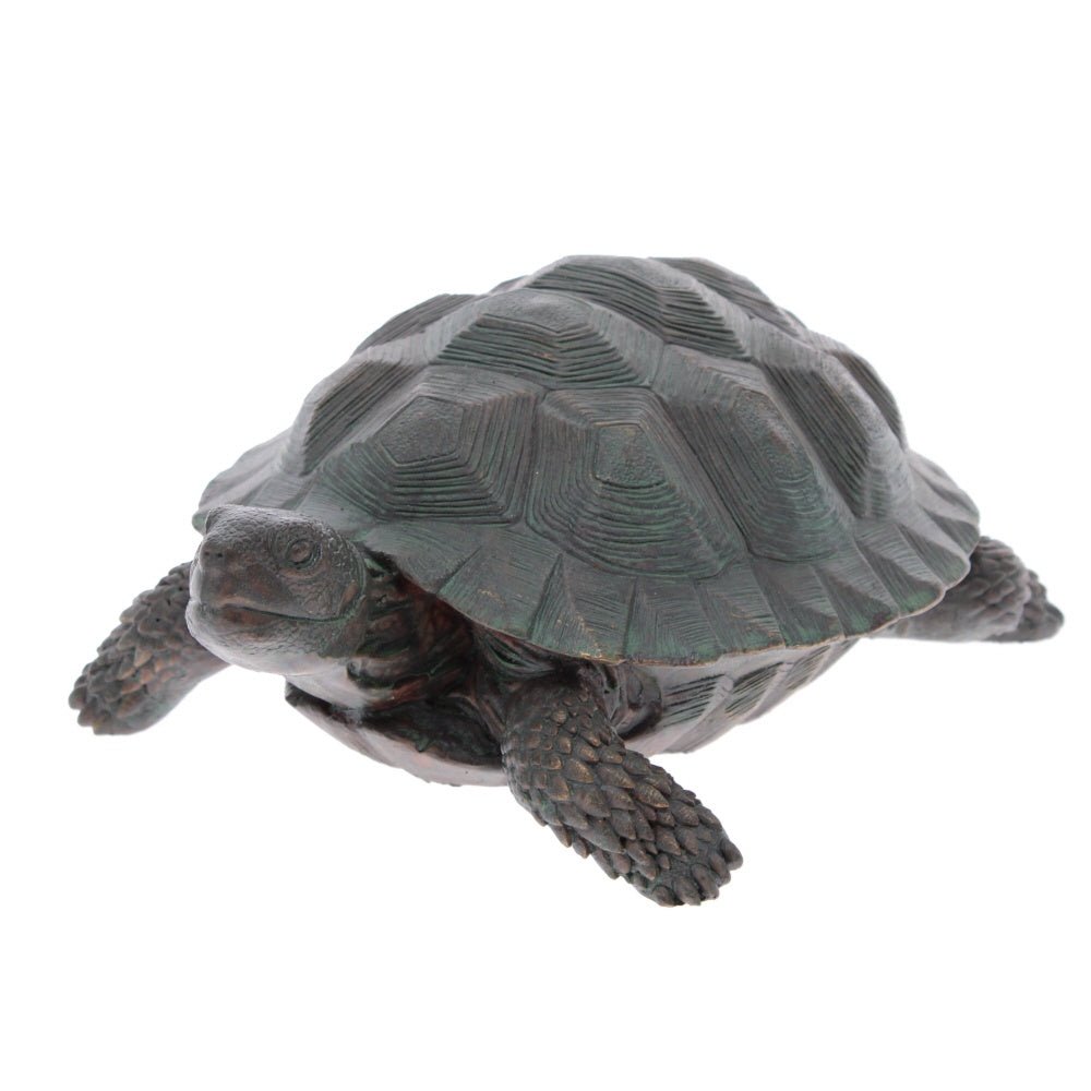 Bronze effect Tortoise, looking straight - Angela Reed -