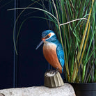 Carved Wooden Kingfisher