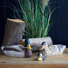 Carved Wooden Mallard Drake - Angela Reed - 