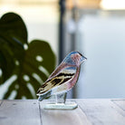 Chaffinch Glass Ornament - Angela Reed - 