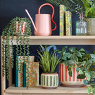 Classic Journal, Orange Daisies Small,Medium