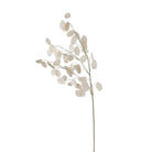 Clear Honesty Spray