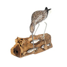 Curlew with Fish