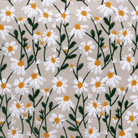 Daisy Cushion Large - 40cm x 40cm,Small - 50cm x 30cm