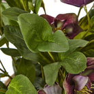 Deep Plum Hellebore Plant In Taupe Pot - Angela Reed - 