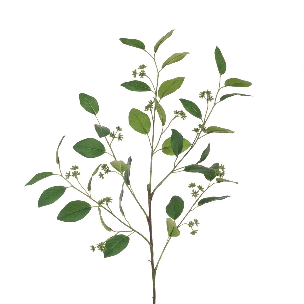 Eucalyptus Seeded Spray