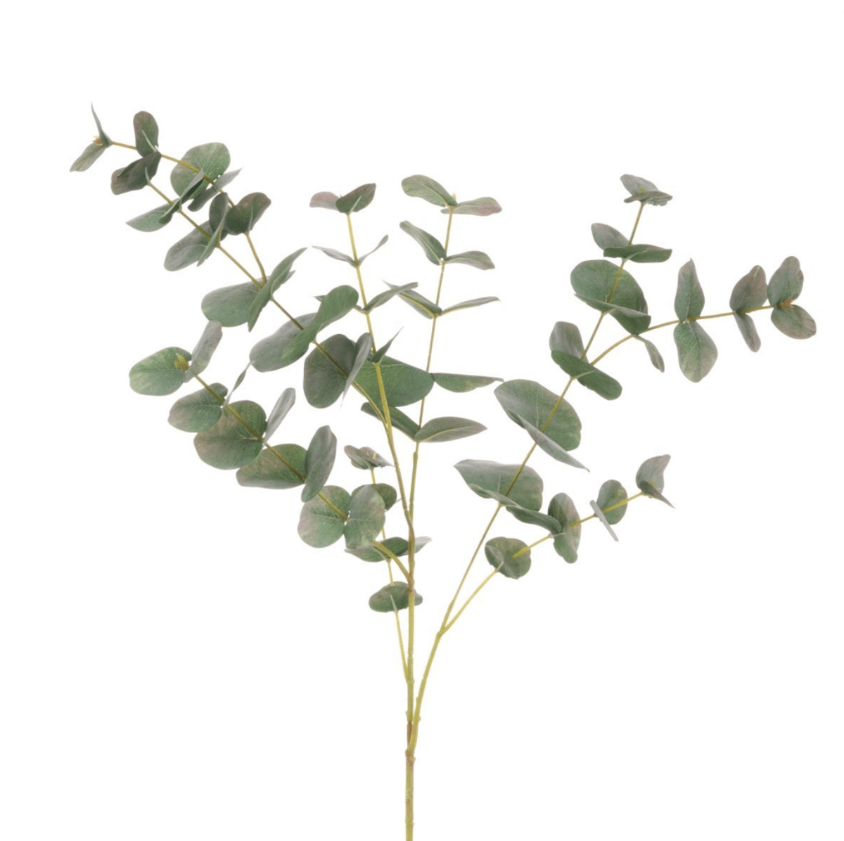 Eucalyptus Spray 90cm